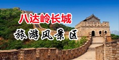 看免费操逼无码视频中国北京-八达岭长城旅游风景区