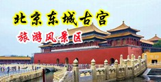 老头操漂亮女卜色BB中国北京-东城古宫旅游风景区